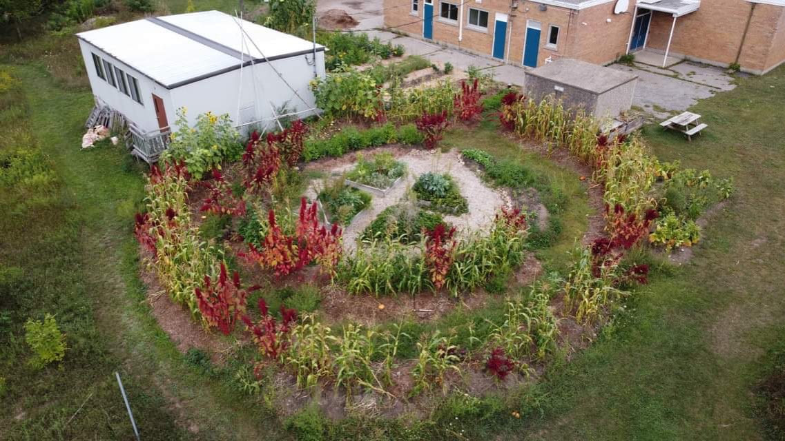 A circular urban garden with an x-shaped path cutting through it